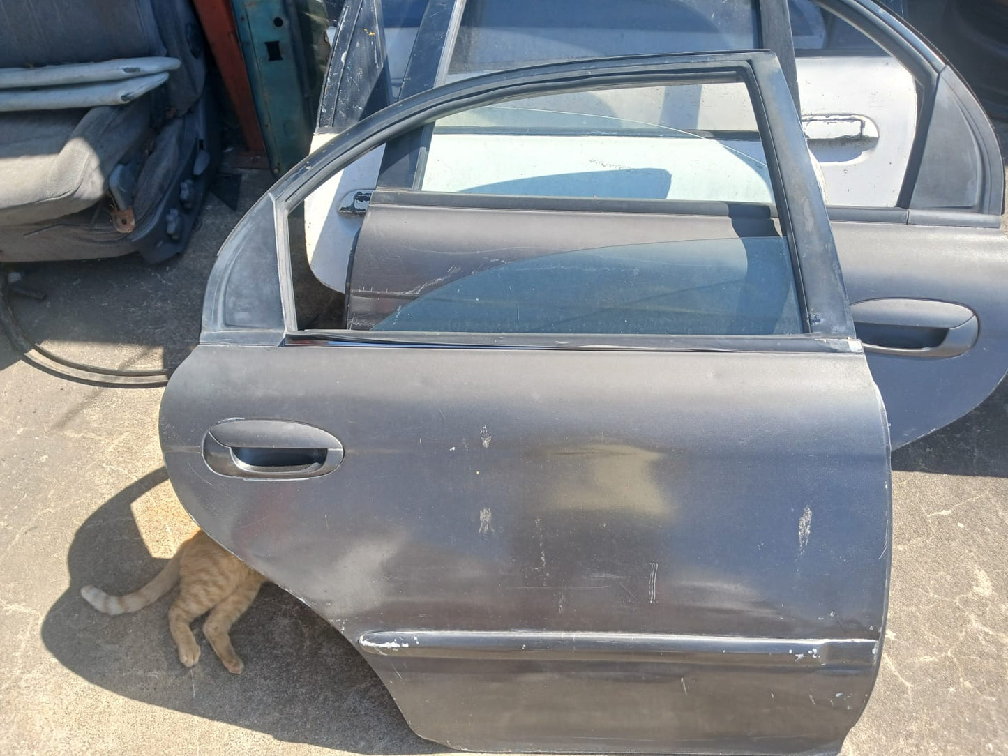 Puerta delantera derecha original usada para Kia Spectra 2002. Repuesto genuino ideal para reemplazar puertas dañadas, conservando el ajuste y calidad de fábrica. Excelente opción para reparaciones económicas y confiables.
Características:
✅ Puerta delantera derecha (copiloto)
✅ Repuesto original usado
✅ Compatible con Kia Spectra 2002
✅ Ajuste de fábrica
✅ Estructura resistente y duradera
Palabras clave SEO:
Puerta Kia Spectra 2002, Puerta Derecha Kia Spectra, Puerta Delantera Spectra, Carrocería Kia Spe